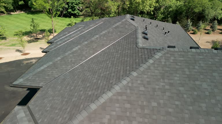 Best Roof Ventilation Installation  in Walnut, IL